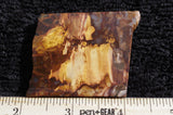 Pietersite Slab 488