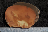Bruneau Jasper Slab 47