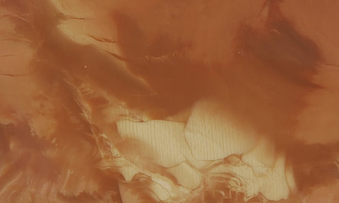 Bruneau Jasper Slab 47