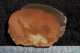 Bruneau Jasper Slab 47