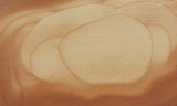 Bruneau Jasper Slab 41