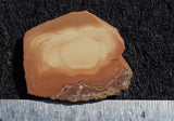 Bruneau Jasper Slab 41