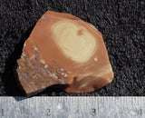 Bruneau Jasper Slab 50