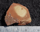 Bruneau Jasper Slab 50