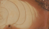 Bruneau Jasper Slab 48