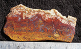 Mexican Moss Agate Rock Slab 68