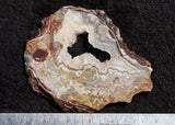 Mexican Crazy Lace Agate Slab 0205