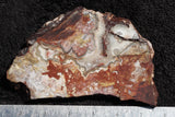 Mexican Crazy Lace Agate Slab 0305