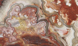Mexican Crazy Lace Agate Slab 0305