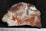 Mexican Crazy Lace Agate Slab 0305