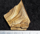 African Queen Picture Jasper Slab 30