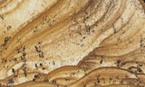 African Queen Picture Jasper Slab 30