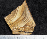 African Queen Picture Jasper Slab 30