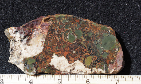 P3150482_grande.jpg?v=1719511446