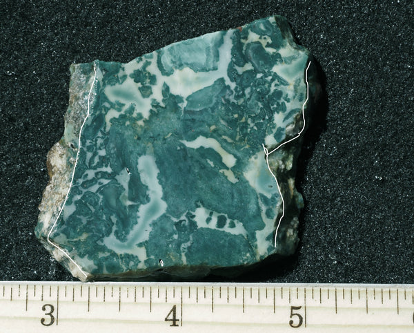 Hava Ridge Jasper Slab 476 – DD Rocks