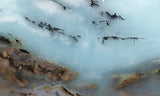 Peruvian Blue Opal Slab  264