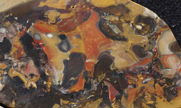 P3300867a_grande.jpg?v=1719884543