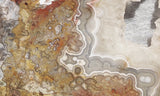 Mexican Crazy Lace Agate Rock slab 0304