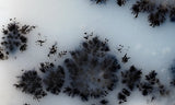 Mexican Dendritic Opal Slab 28