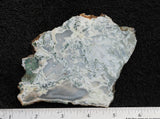 Oregon Moss Agate Rock Slab 033