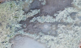 Oregon Moss Agate Rock Slab 33