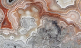 Laguna Lace Agate Rock Slab 494