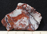 Laguna Lace Agate Rock Slab 497