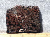 Fireworks Obsidian Slab 75