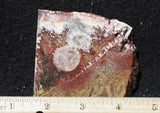 Galaxy Rhyolite Slab 267