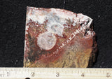 Galaxy Rhyolite Slab 267