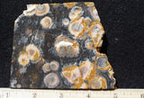 Galaxy Rhyolite Slab 266