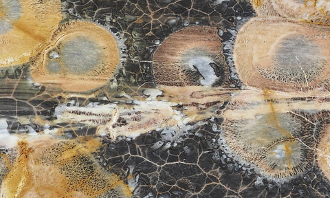 Galaxy Rhyolite Slab 269