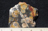 Galaxy Rhyolite Slab 269