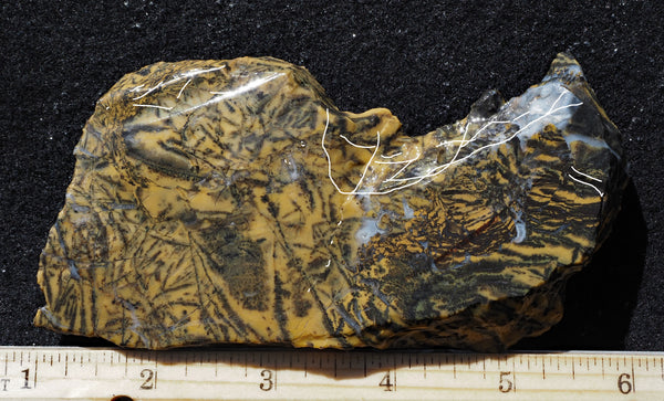 Yellow Feather Jasper Rock Slab 192 – DD Rocks