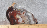 Mexican Crazy Lace Agate Rock Slab 476