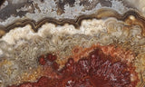 Mexican Crazy Lace Agate Rock Slab 488