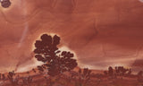 Apache Canyon Rock Slab 268