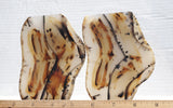 Montana Agate Rock Slab 224