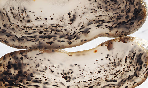 Montana Agate Rock Slab 218