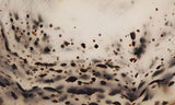 Montana Agate Rock Slab 218
