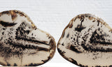 Montana Agate Rock Slab 213
