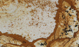 African Queen Picture Jasper 12