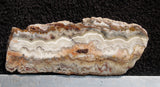 Mexican Crazy Lace Agate Slab 0206