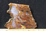 Bull Canyon 388