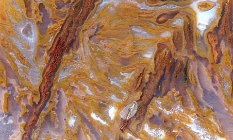 Bull Canyon 392