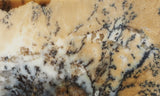 Australian Dendritic Opal Rock Slab 53