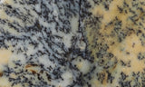 Australian Dendritic Opal Rock Slab 57