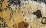 Australian Dendritic Opal Rock Slab 55