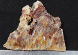 Bella Vista Agate Rock Slab 80