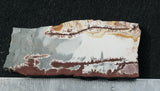 Sonoran Dendritic Rhyolite Rock Slab 46